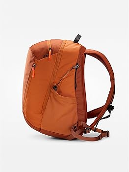 Amazon.co.jp: [アークテリクス] ARCTERYX マンティス26バックパック