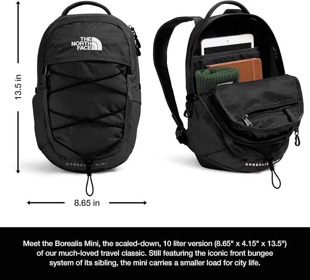 Amazon.com | The North Face 10L Mini Borealis Every Day Backpack