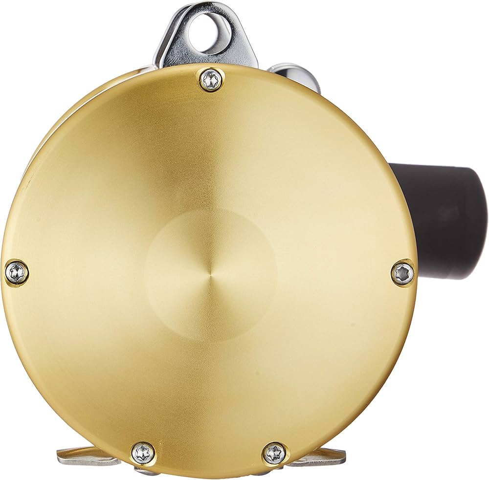 Amazon | シマノ(SHIMANO) ベイトリール 両軸 ティアグラ 30W LRSA(右