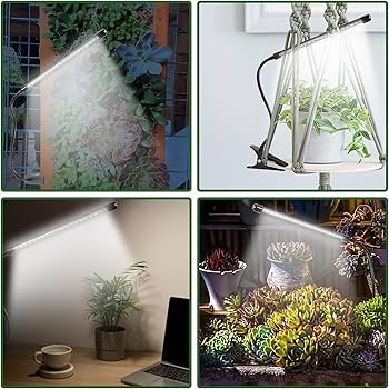 Amazon.co.jp: 屋内植物用LEDグローライト、20W 6000K植物ライト、多肉