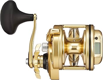Amazon | シマノ(SHIMANO) 石鯛・鯉リール 両軸遠投リール 15 KAIKON