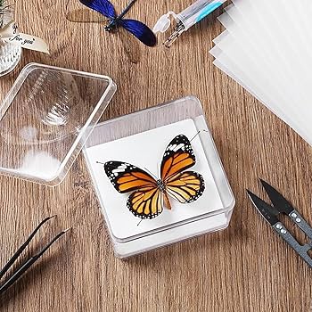 Amazon | 教育用昆虫標本キット、 蝶採集昆虫学、 再利用可能な剥製術
