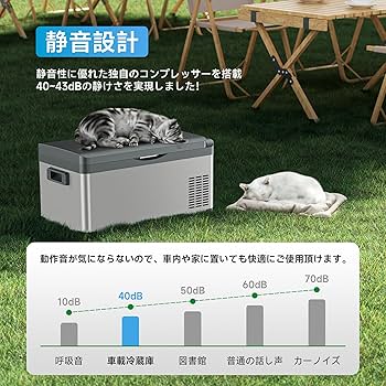 Amazon.co.jp: 車載冷蔵庫 ポータブル冷蔵庫 急速冷凍 20L -22℃～20