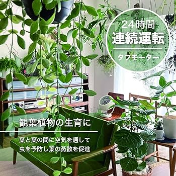 Amazon | ボルネード サーキュレーター 10畳 レトロ パワフル 省エネ