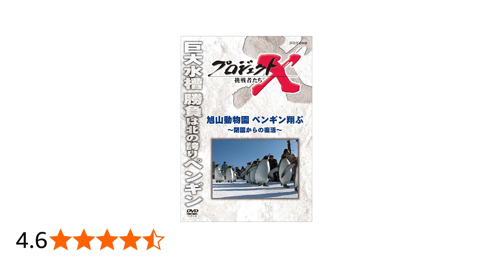 Amazon.co.jp: プロジェクトX 挑戦者たち 旭山動物園ペンギン翔ぶ