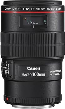 Amazon.com : Canon EF 100mm f/2.8L IS USM Macro Lens for Canon