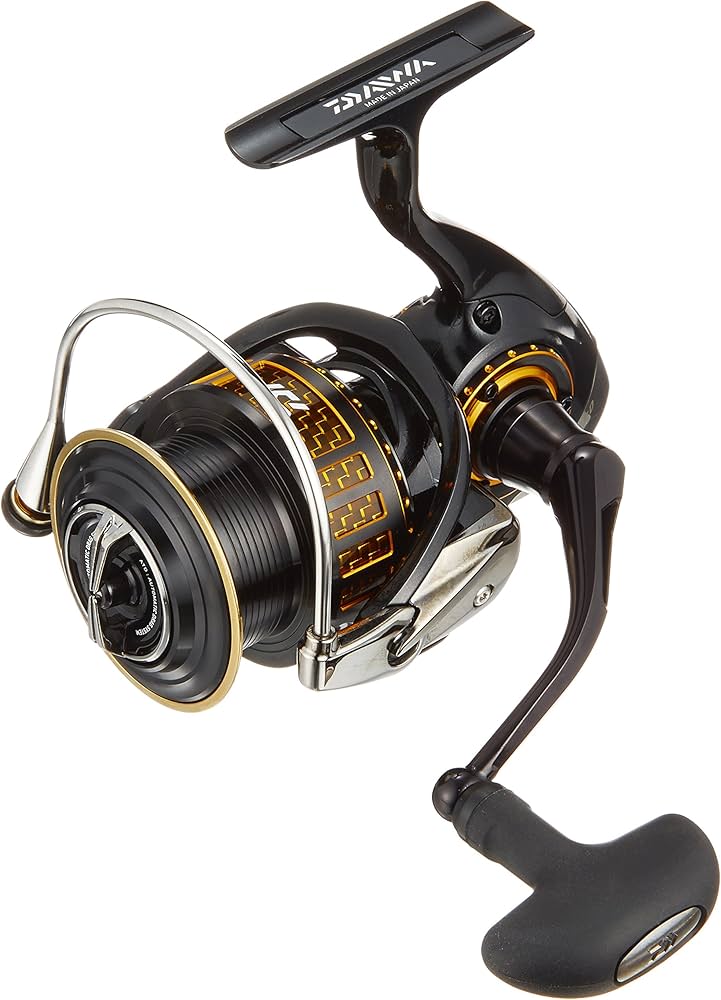 Daiwa Morethan 3012H : Amazon.de: Sport & Freizeit