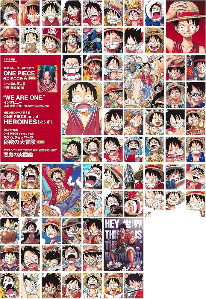 ONE PIECE magazine Vol.13 (集英社ムック) | 尾田 栄一郎 |本 | 通販