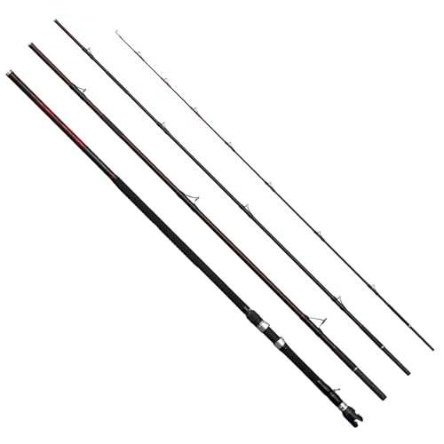シマノ 極翔 石鯛 540 遠投 (ロッド・釣竿) 価格比較 - 価格.com