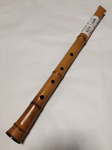 琴 楽器 尺八」の人気商品一覧 | 安い商品を通販サイトから探す - 価格.com