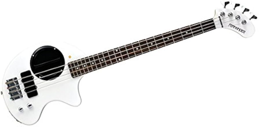 Amazon.co.jp: 【国内正規品】 FERNANDES フェルナンデス エレキベース