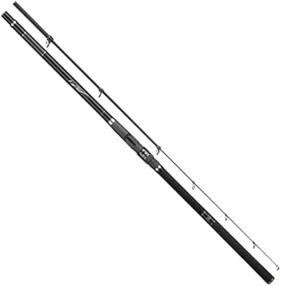 Amazon | 宇崎日新 ロッド N's 遠投 4号プラス 450 | 宇崎日新 | 投げ竿