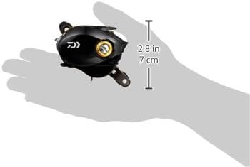 Amazon | ダイワ(Daiwa) ベイトリール シーバス モアザン 14 PE SV 8.1