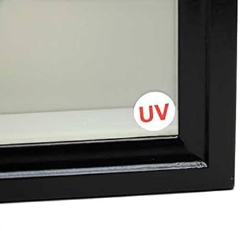 Amazon.co.jp: 【厚型80UVカット】大型ドイツ型標本箱（黒
