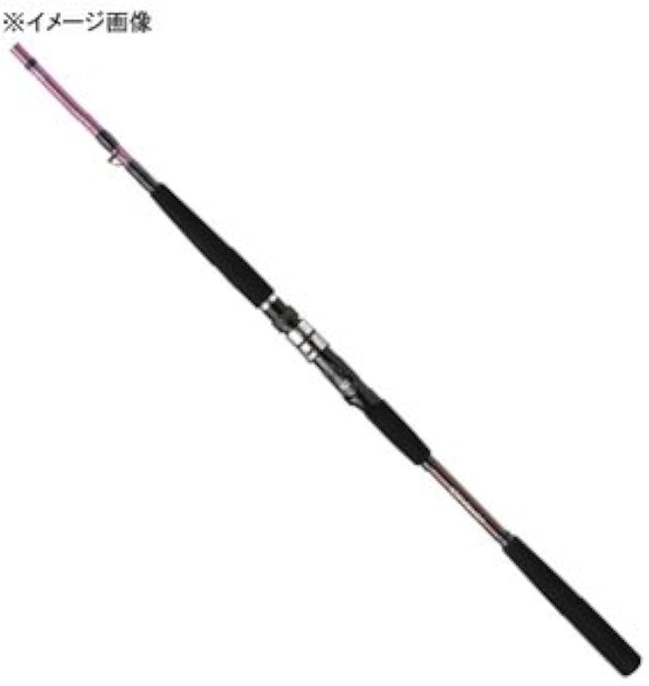 Amazon | ダイワ(DAIWA) 船竿 リーオマスター青物SX MH-300 釣り竿