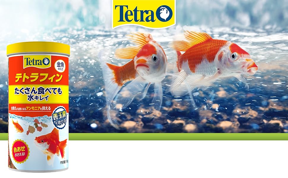 Amazon | テトラ (Tetra) テトラフィン 180グラム 金魚の主食 金魚の