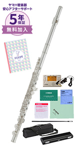 Amazon | ヤマハ YAMAHA フルート YFL-312 | フルート | 楽器・音響機器
