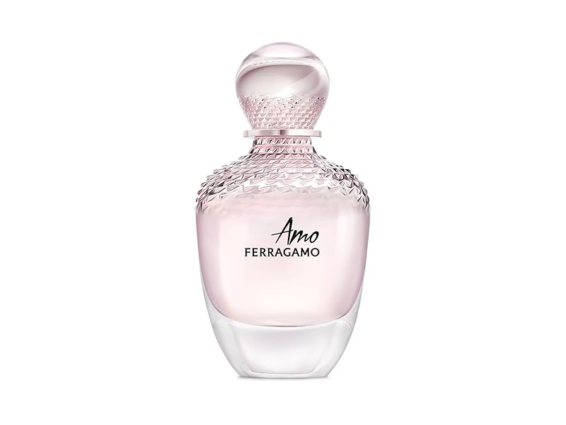 Amazon.com: Salvatore Ferragamo Amo Ferragamo for Women 3.4 oz Eau