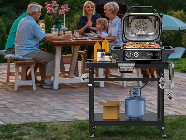 Amazon.com : Universal Grill Stand for Ninja Woodfire Outdoor