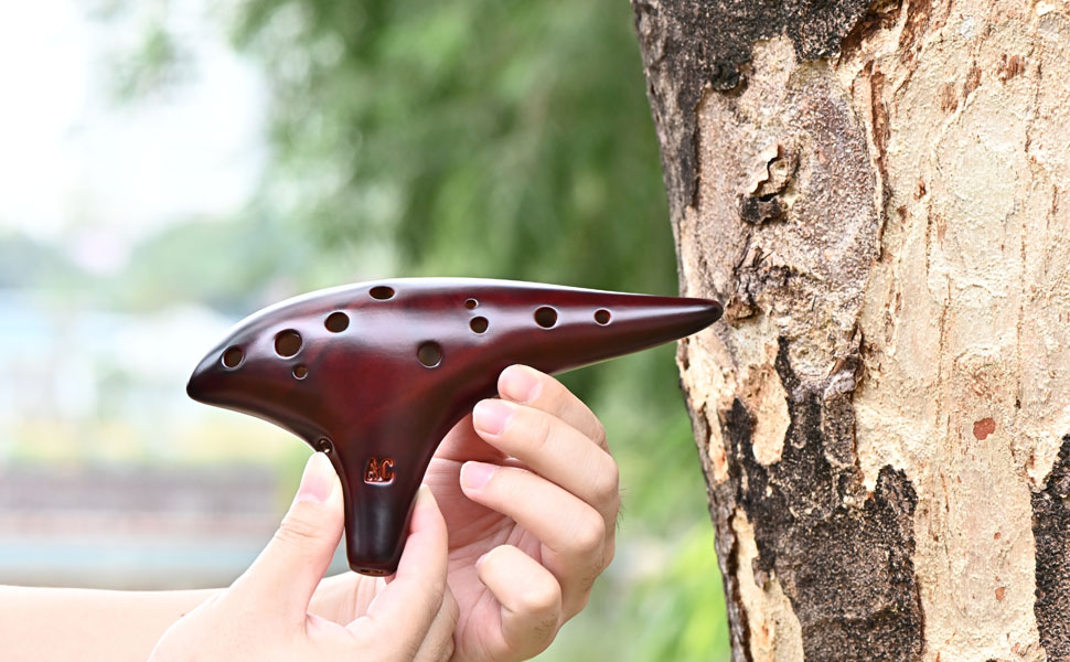 pieta okarina ⅢF SP Amazon.com: OcarinaWind 12 Hole Ocarina