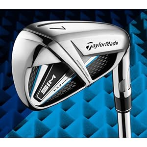 Amazon.co.jp: テーラーメイド(TAYLORMADE)SIMMAX(シムマックス)クラブ