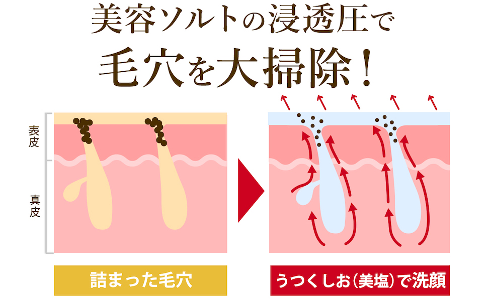 Amazon | 【肌断食専用】うつくしお（美塩）洗顔料 2本セット | ノー