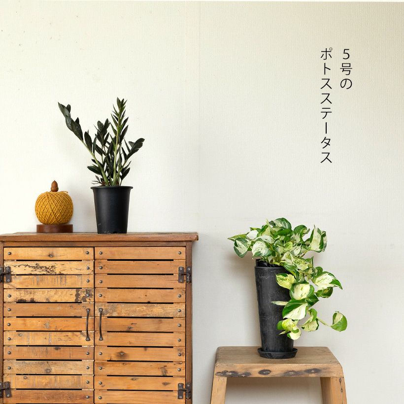 縦長ロング。アートストーン樹脂POT（4号～5号鉢向け）