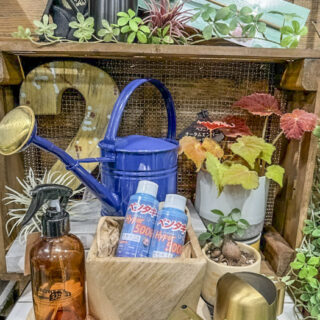 ガーデン雑貨 / 道具」の記事一覧 | みどりの雑貨屋
