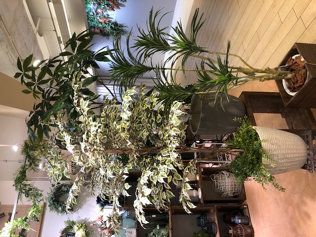 大型フェイクグリーン〈梅田店〉 | みどりの雑貨屋