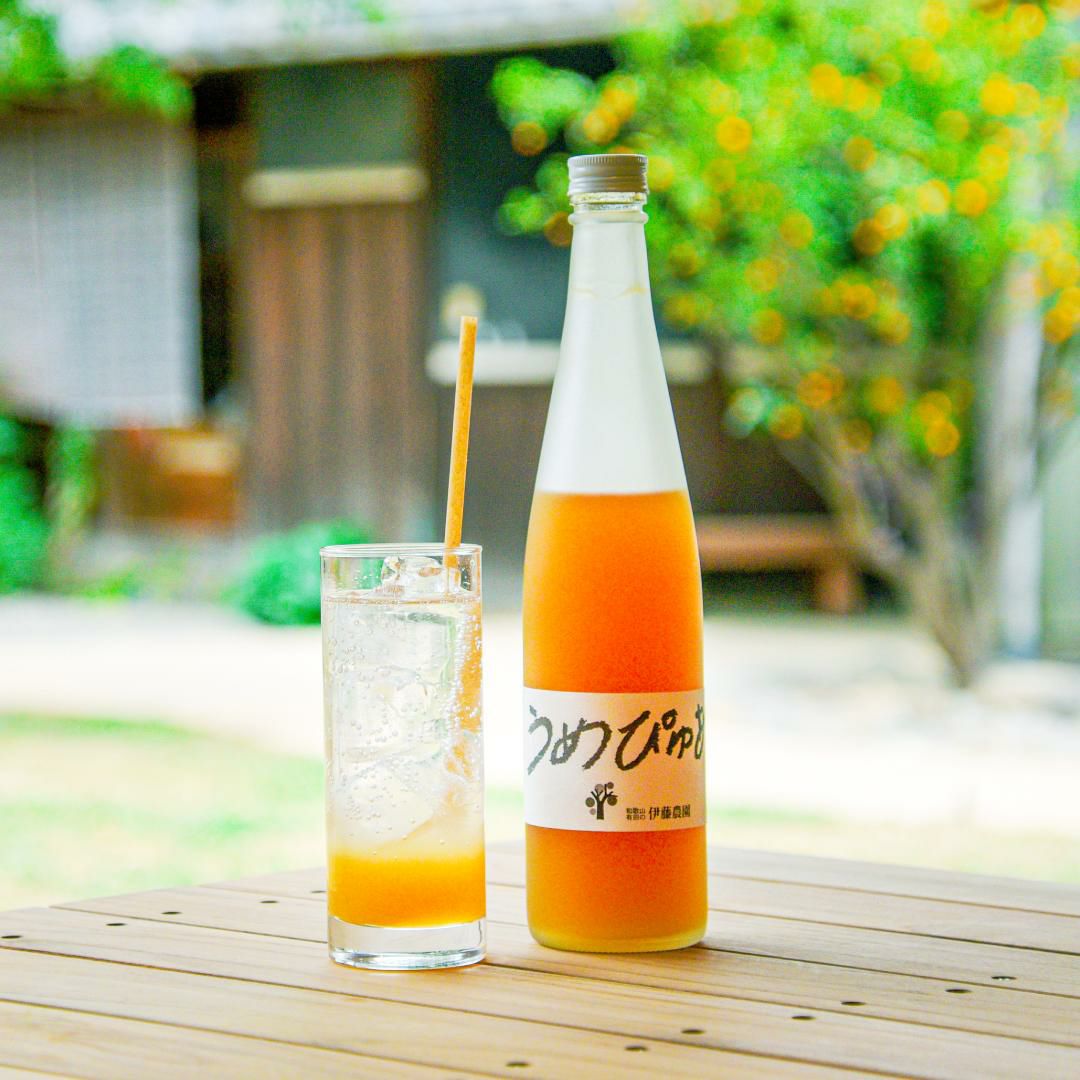 南高梅シロップ】うめぴゅあシロップ 500ml | 有田みかん・和歌山県産