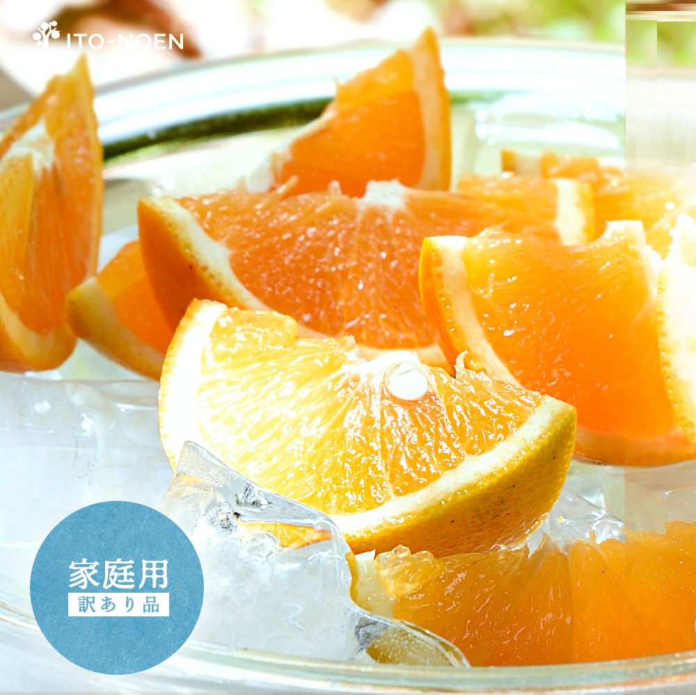 今期終了まで残りわずか】【初夏限定】バレンシアオレンジ(ばれんしあ