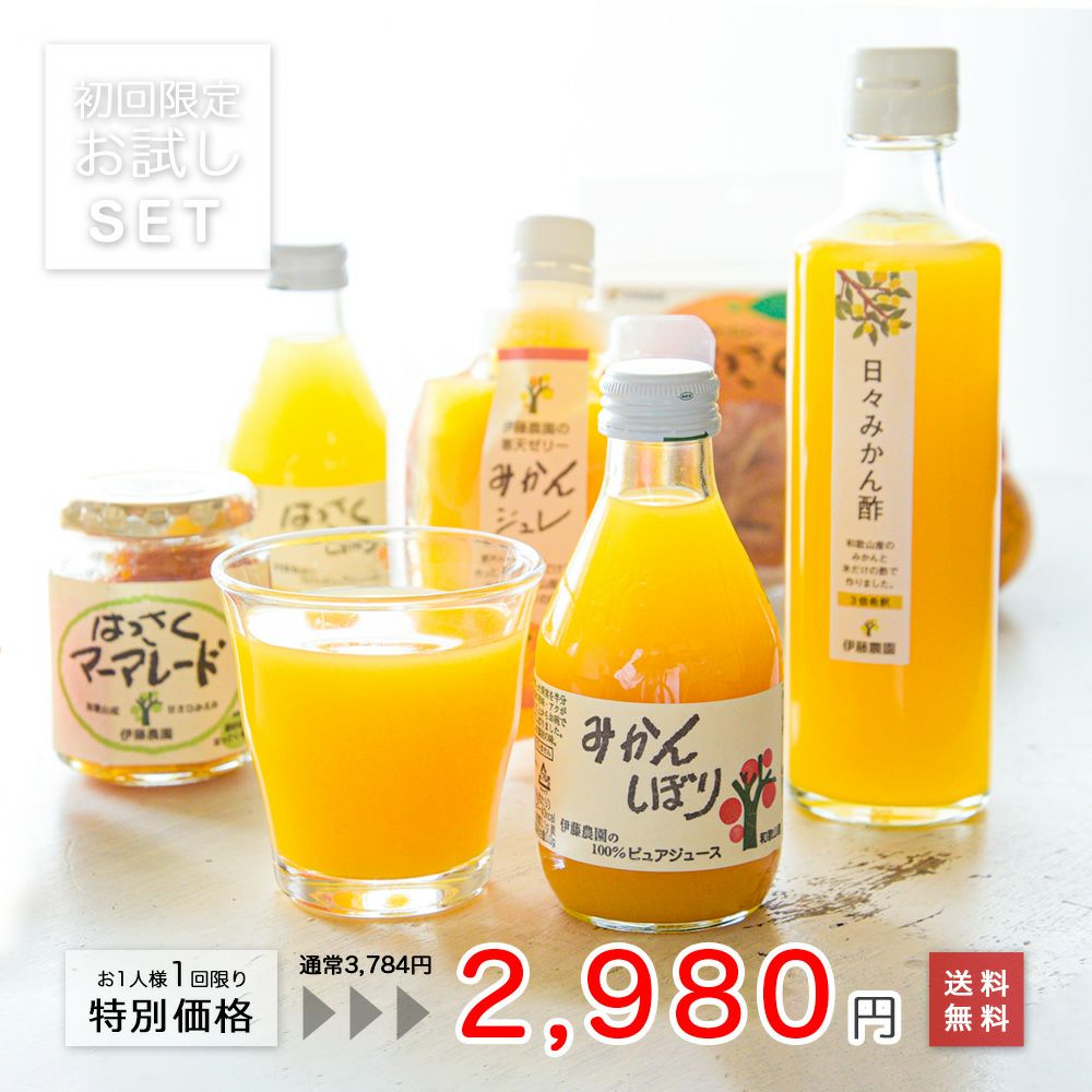 初回限定】【通常価格より804円引】お試しきくちゃんセット(みかん