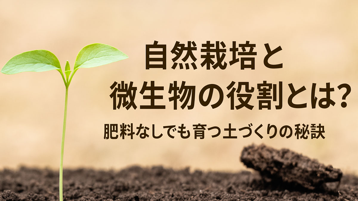 自然栽培と微生物の役割とは？肥料なしでも育つ土づくりの秘訣 - 自然