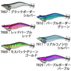 エギリーダートマックス TR30g ティップラン ダートマックス TR 30g
