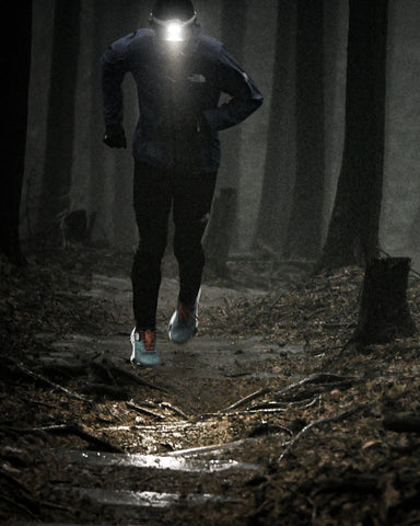 MS-i1 “Endurance Model” – milestone