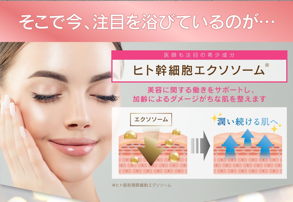 ルジュ プレジールクリーム＜クリーム＞ ｜ ミルキーセレクション
