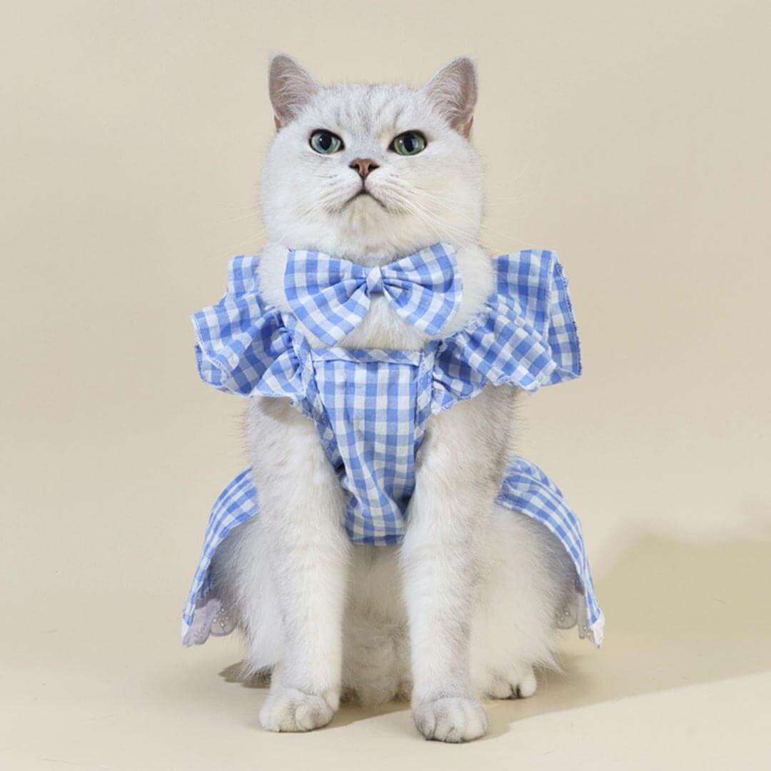 Checkers Cat Dress & Bow Set | Cat Clothes | MissyMoMo