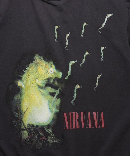 NIRVANA ALL APOLOGIES クルーネックバンドTシャツ｜フリークスストア