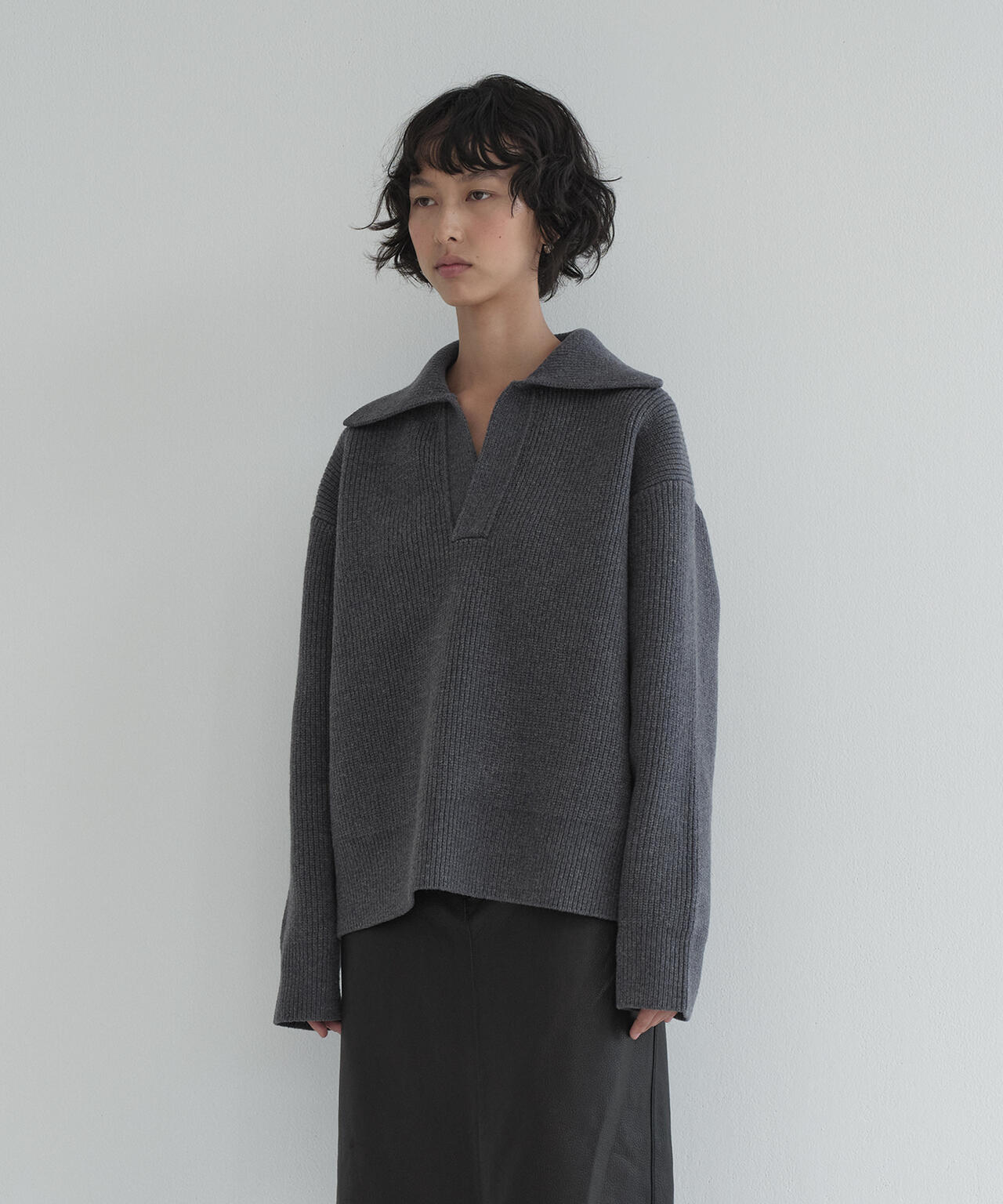 別注]STUDIO NICHOLSON / LAMBSWOOL RIB POLO COLLAR JUMPER | THE