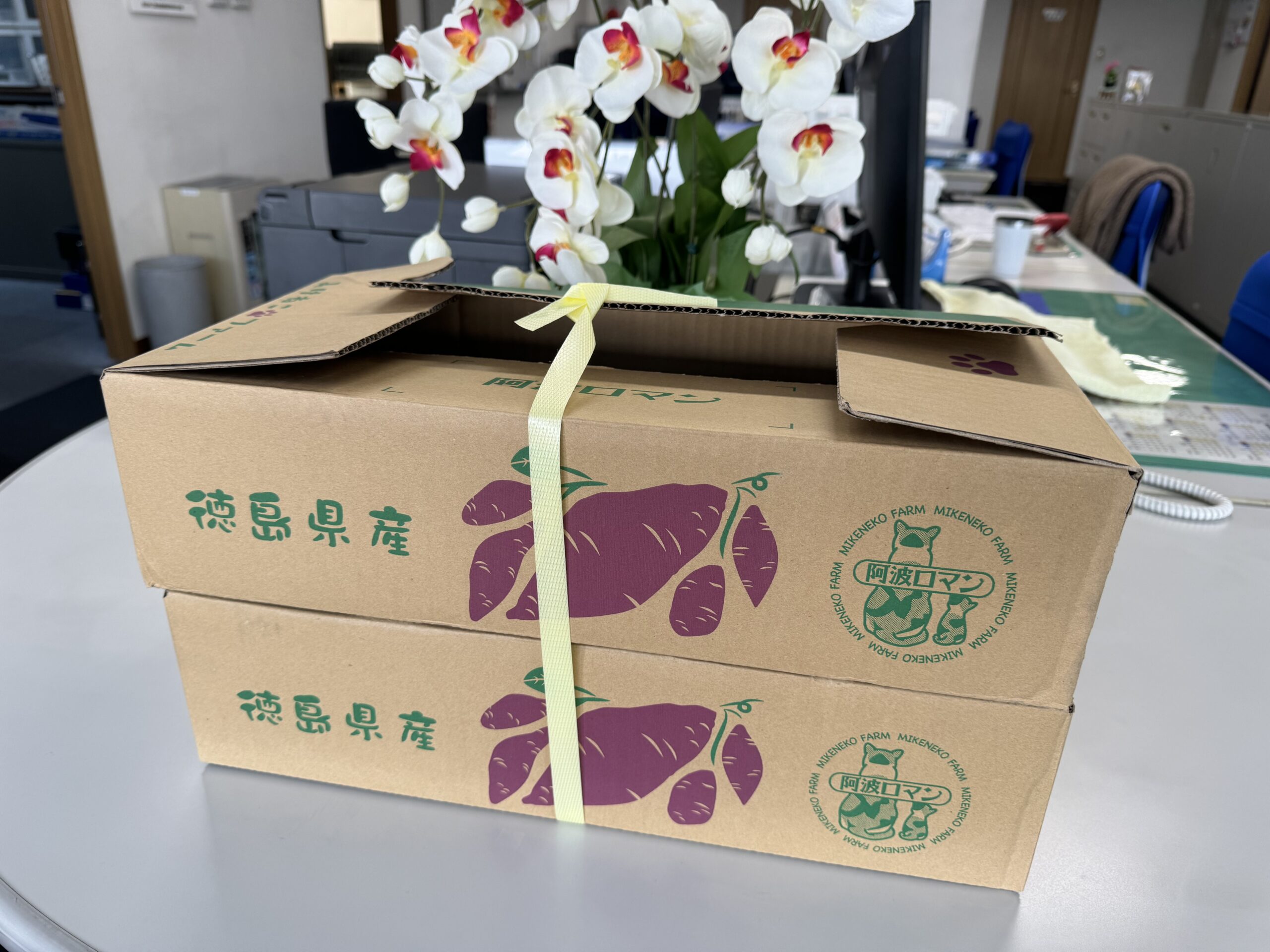秋の味覚 | 宮本金型製作所｜金型の設計・製造