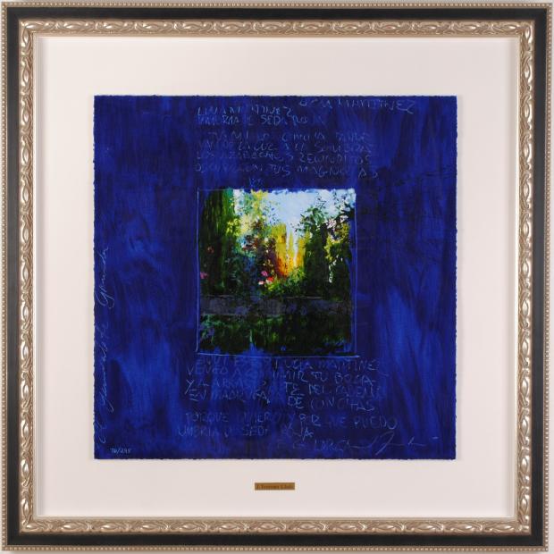 ホアキン・トレンツ・リャドがシルクスクリーンの版画で制作した花の