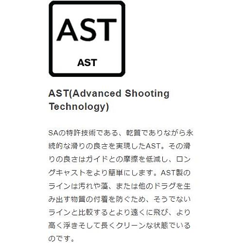 SA マスタリー アトランティックサーモン 中禅寺スペシャル シャロー