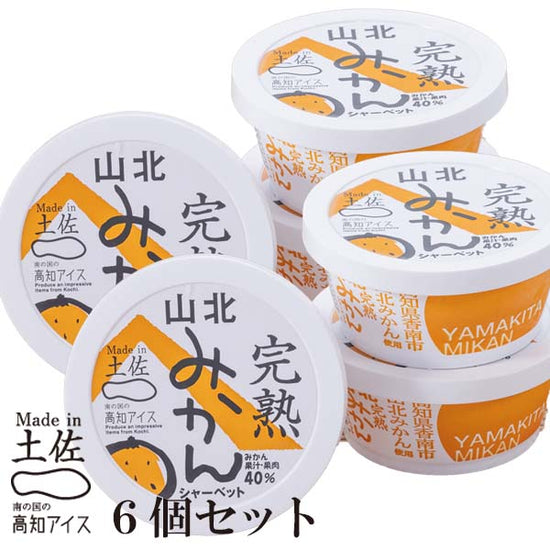 Made in土佐 完熟 山北みかん シャーベット6個 高知アイス ミカン
