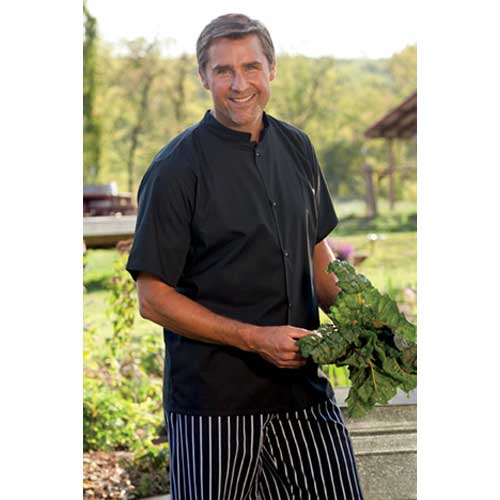 7373 - Mandarin Collar Chef Shirt from Vestis