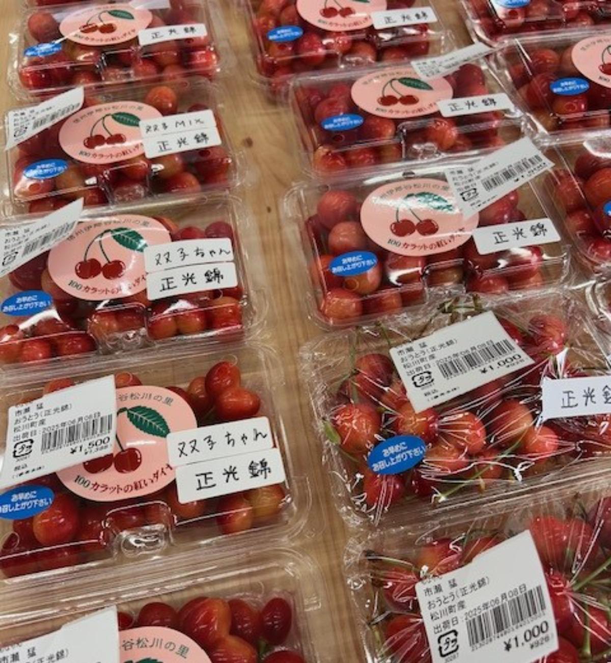 直売所からのお知らせ | JAみなみ信州