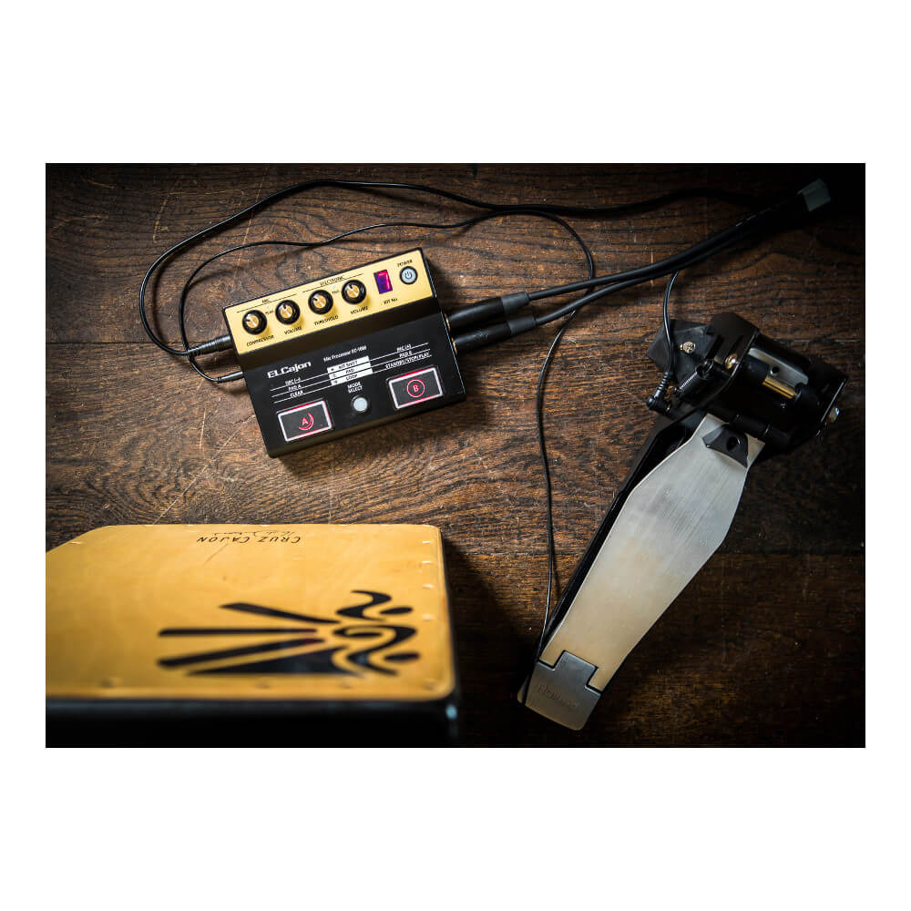 Roland EC-10M ELCajon Mic Processor｜ミュージックランドKEY