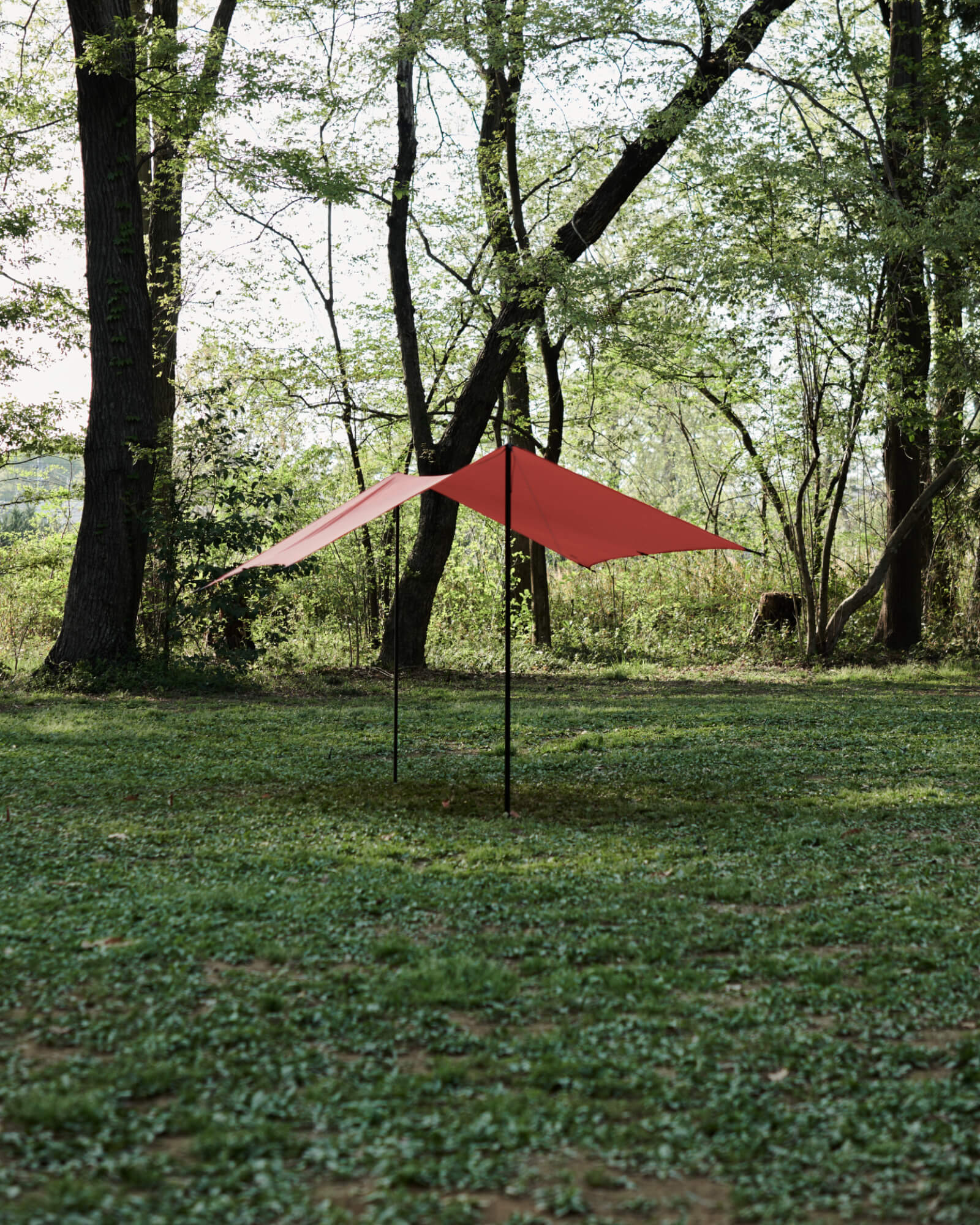 RAPIDE TARP INTERNATIONAL ORANGE｜Rapid Tarp International Orange