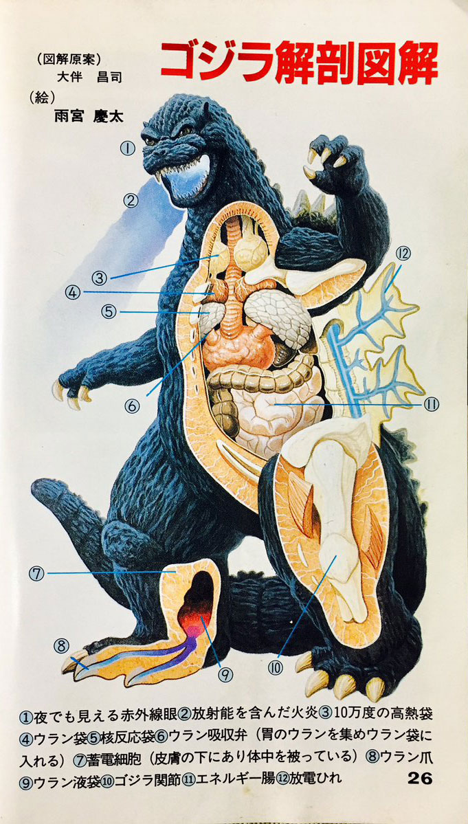 Godzilla Anatomical Illustration – MyKaiju®