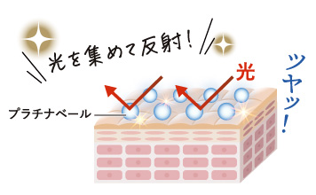 薬用美白]オールインワン プラチナホワイトクリーム 10g | ルソイル