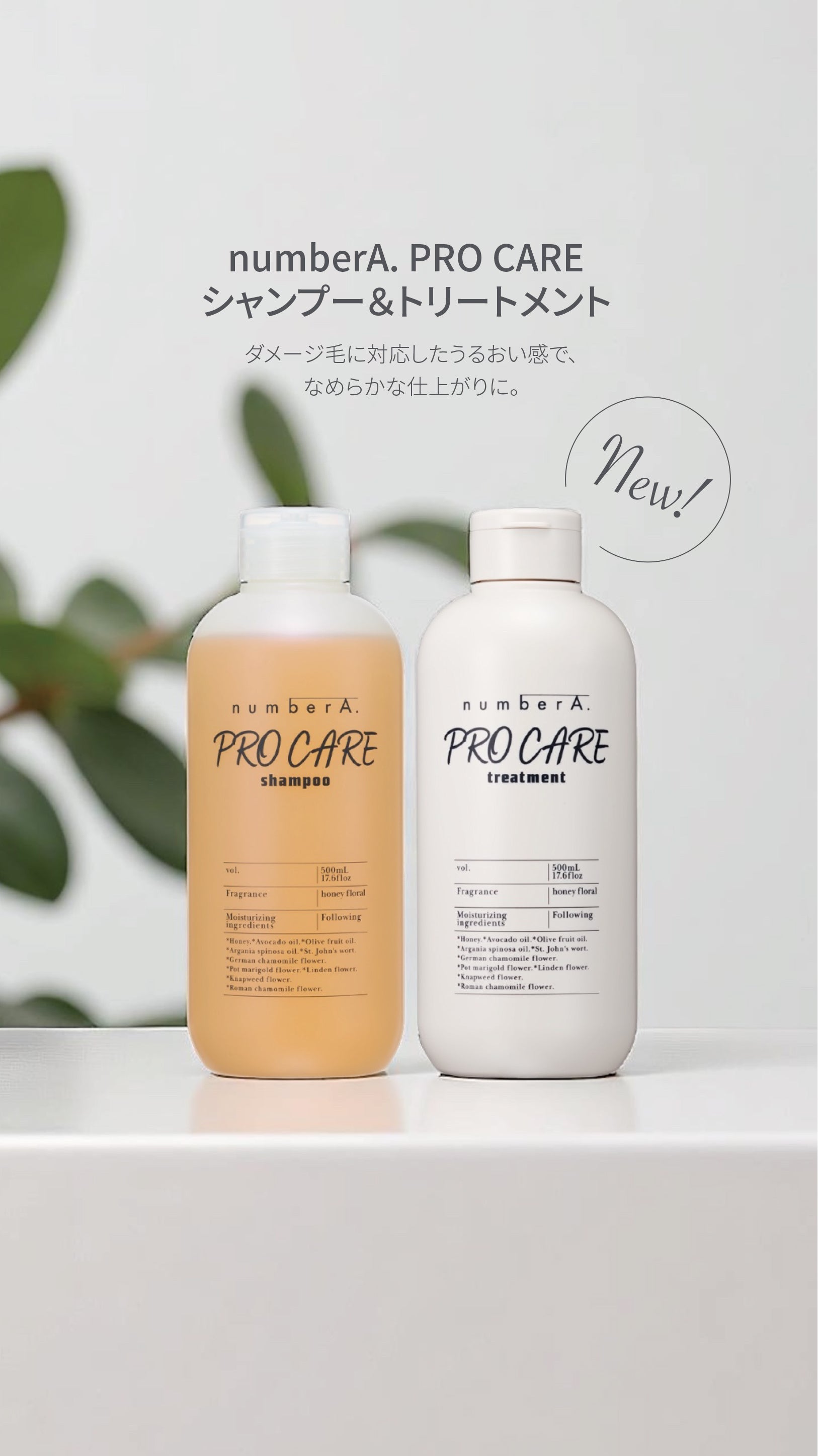 number A. 公式オンラインショップ